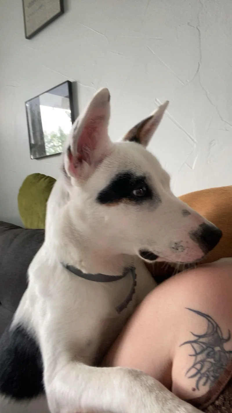 Nano Aka Mollie thumbnail 2