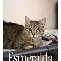 Esmerelda thumbnail 2