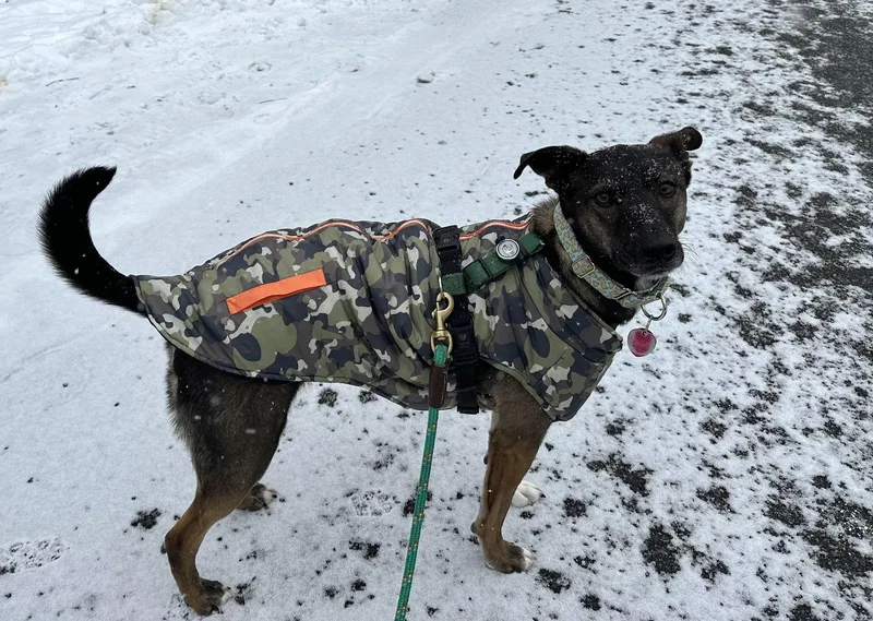 Kaia Local thumbnail 2