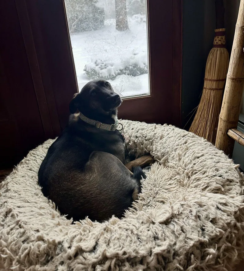 Kaia Local thumbnail 3