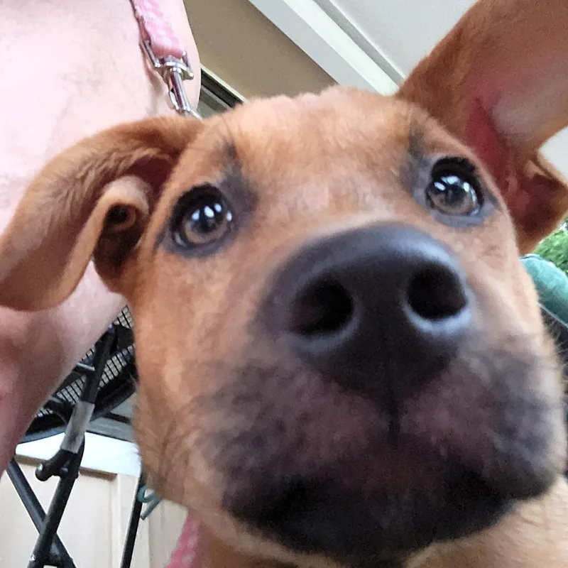 Lulu thumbnail 3