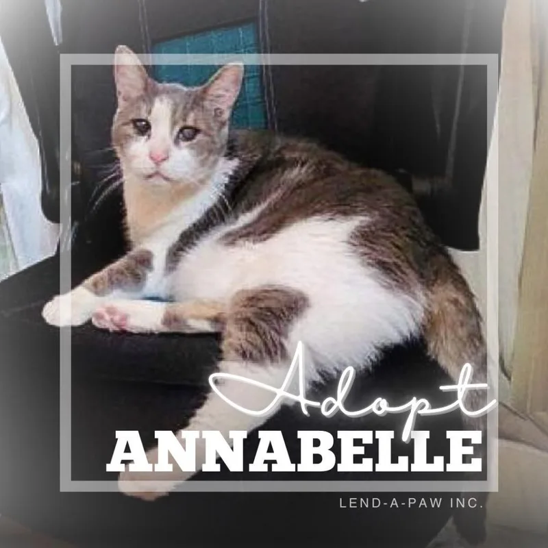 Annabelle thumbnail 2