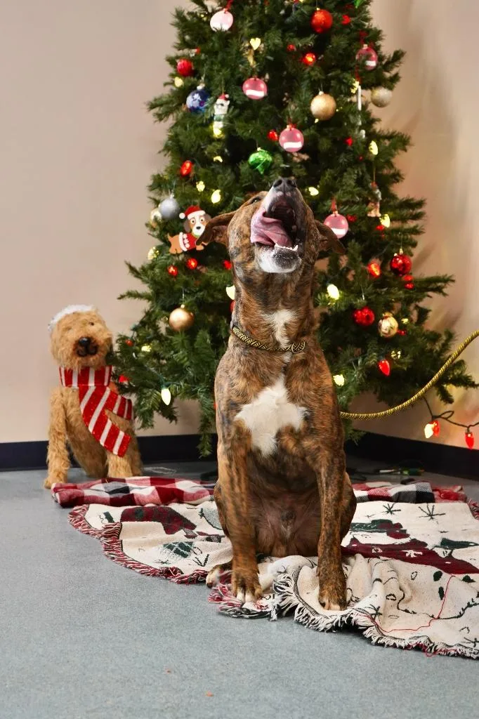 Hendricks thumbnail 3