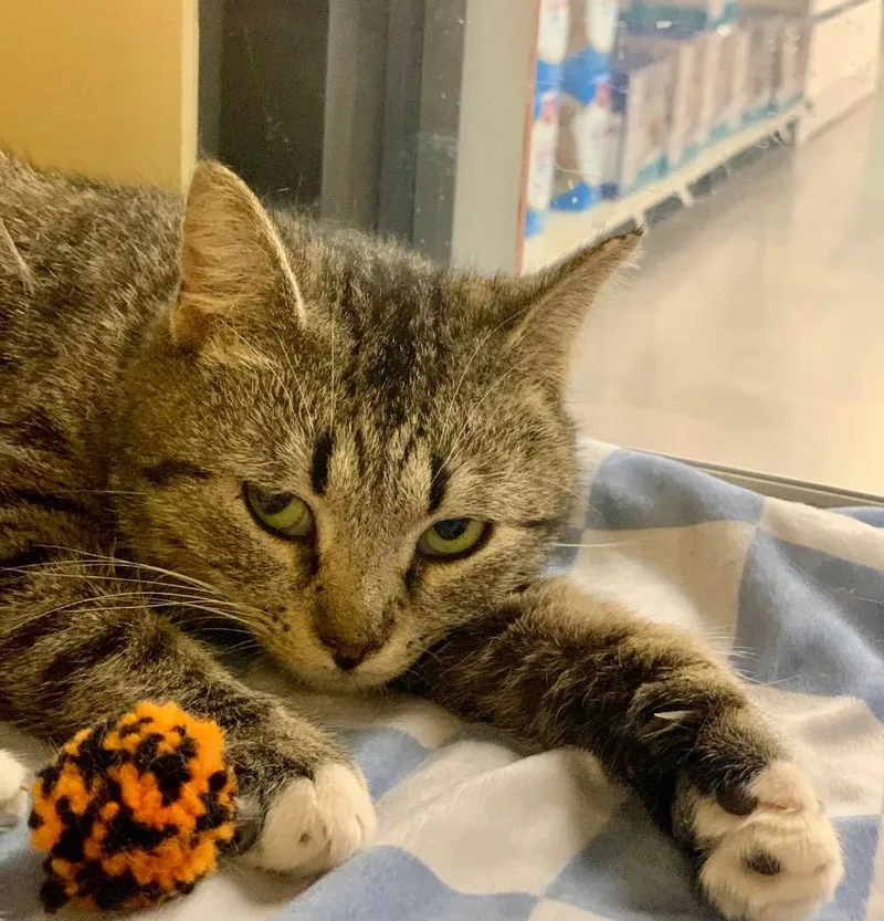 Veneisha thumbnail 2