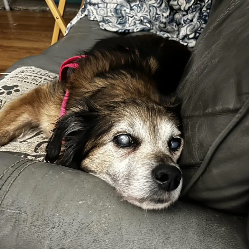 Daisy Lynn thumbnail 4