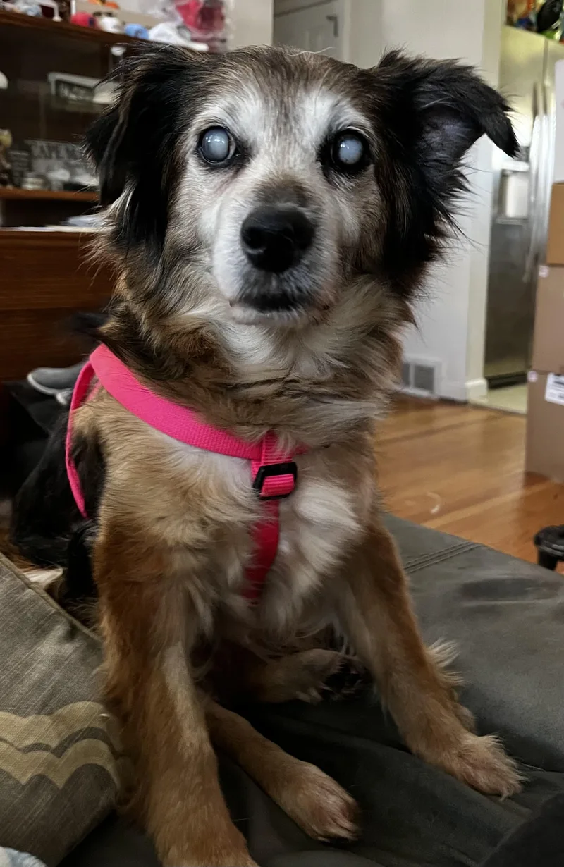 Daisy Lynn thumbnail 5