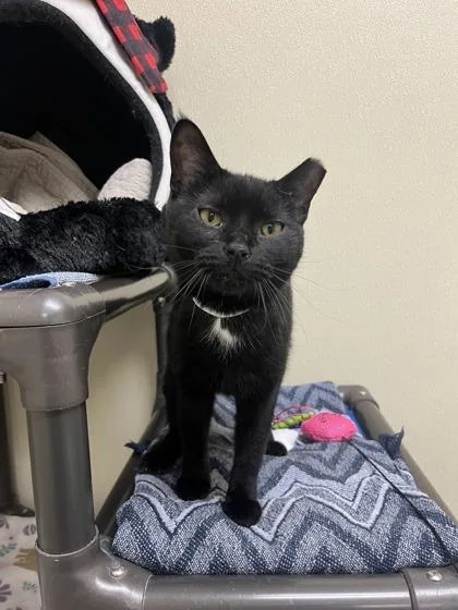 Pretty Girl thumbnail 2