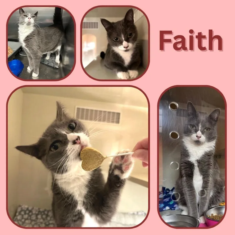 Faith thumbnail 3