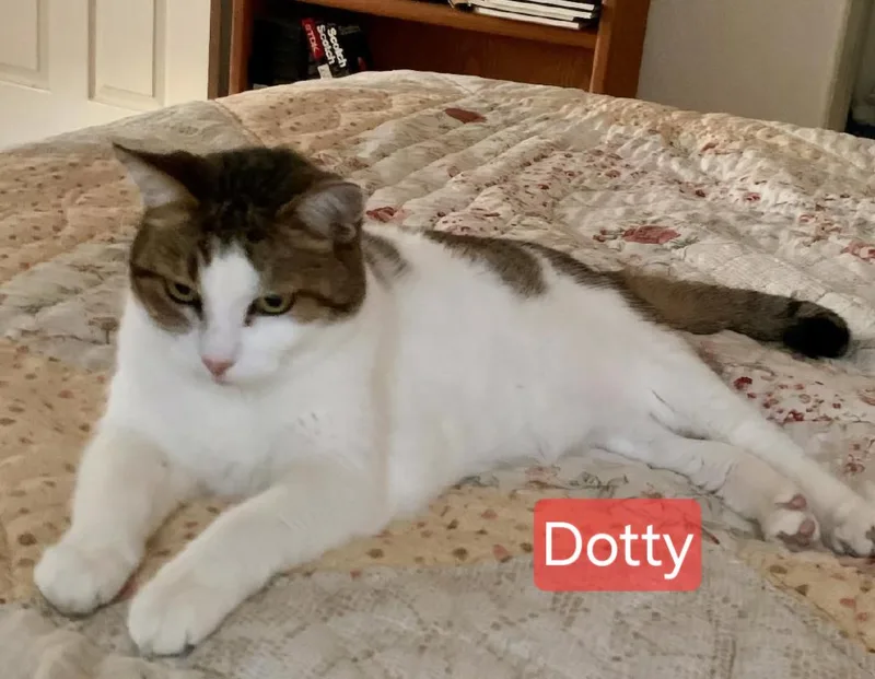 Mr Mustard thumbnail 3