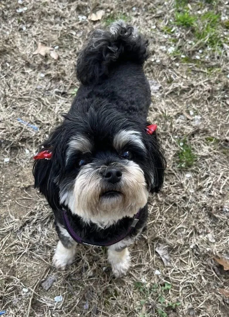 Halle Asha thumbnail 3