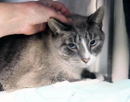 Kiwi Bff W Shay thumbnail 4