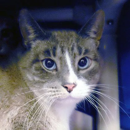 Kiwi Bff W Shay thumbnail 5