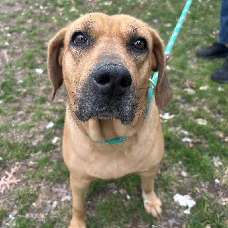 Coachella thumbnail 2