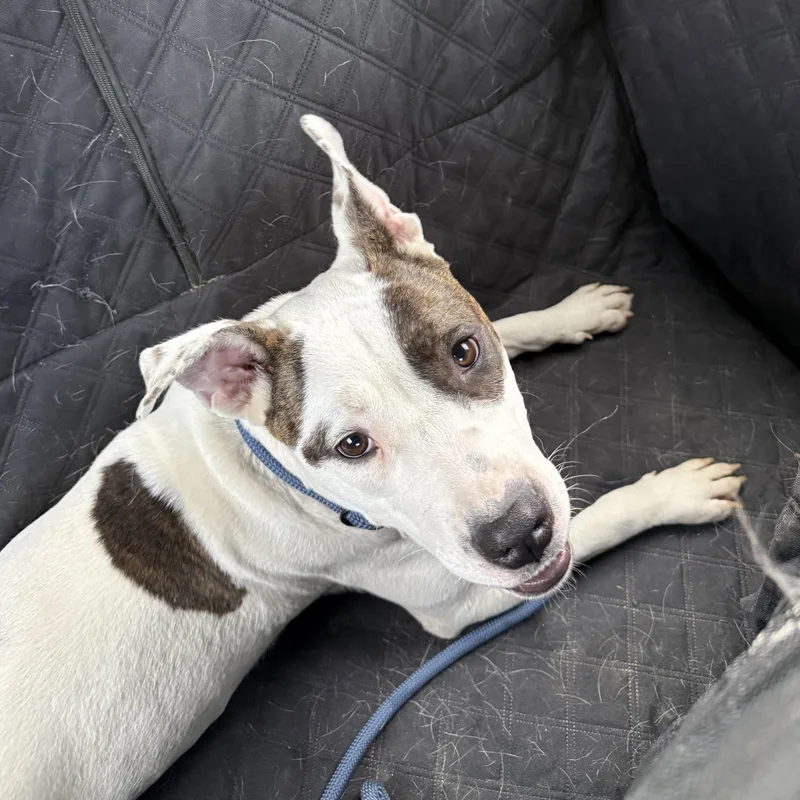 Congaree thumbnail 5