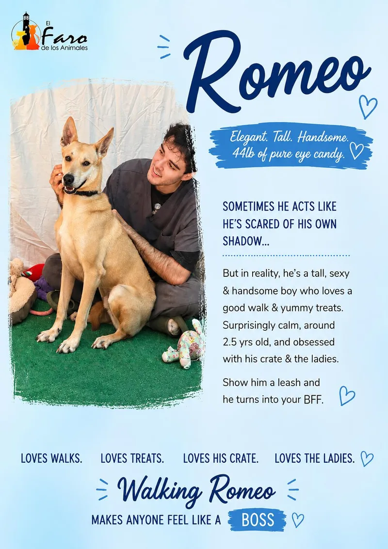 ROmeo thumbnail 5