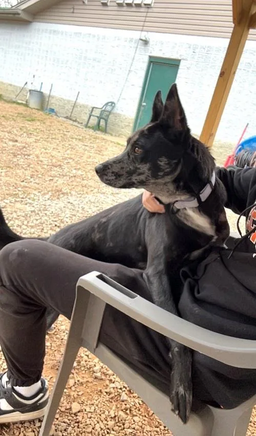 Stella Luna thumbnail 2