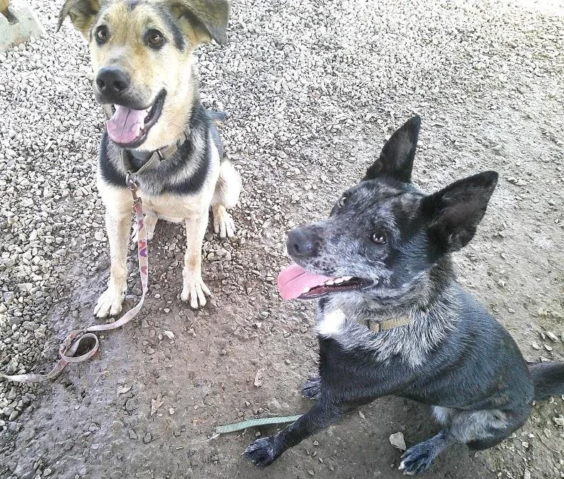 Stella Luna thumbnail 3