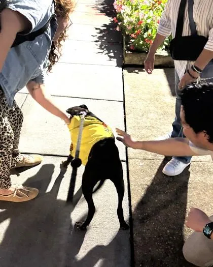 Yappy Gilmore thumbnail 2