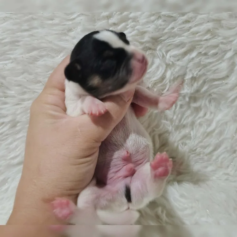 Grumpy thumbnail 3