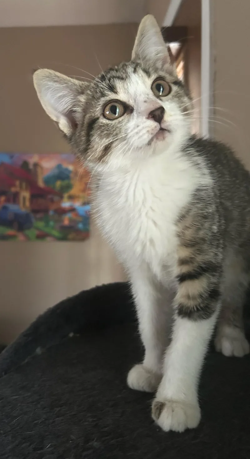 Loretta thumbnail 2