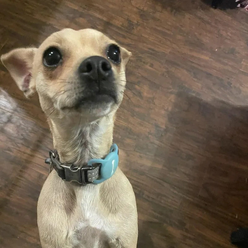 Marley Sue  Small thumbnail 2