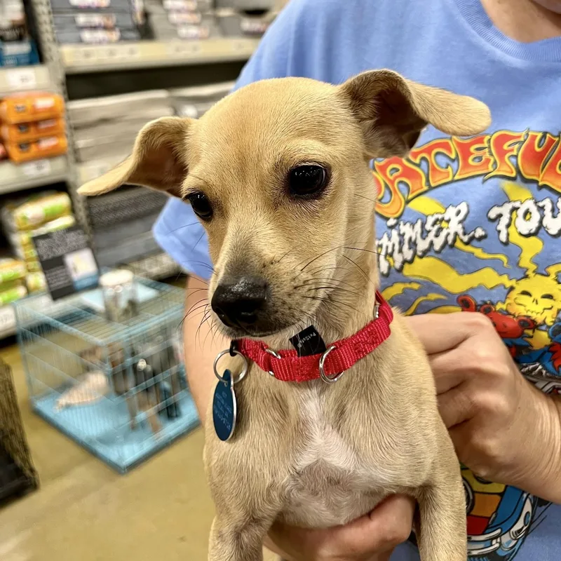 Marley Sue  Small thumbnail 3