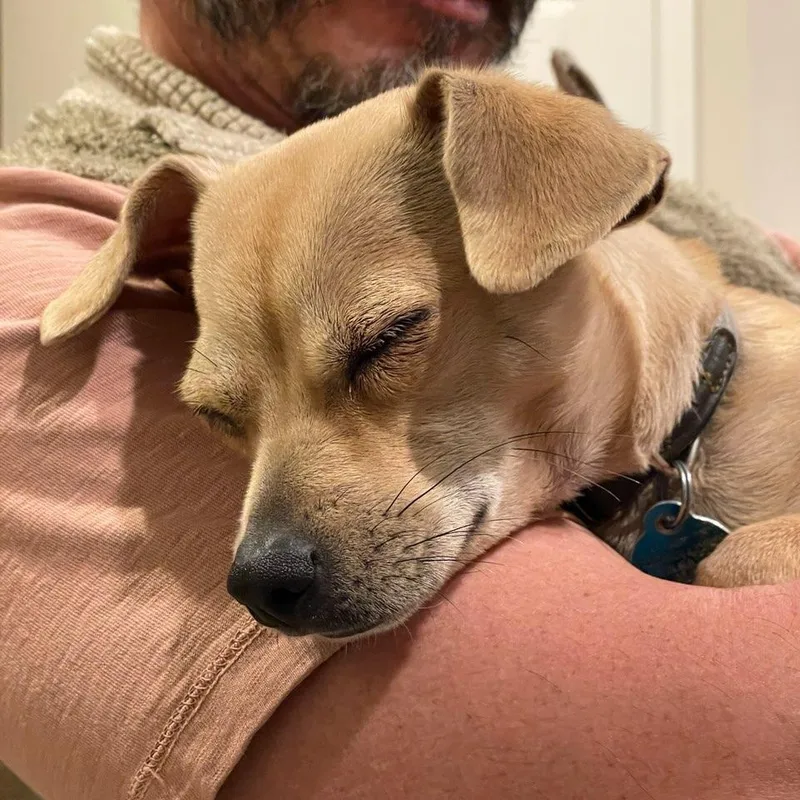 Marley Sue  Small thumbnail 4