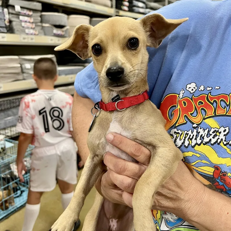 Marley Sue  Small thumbnail 5