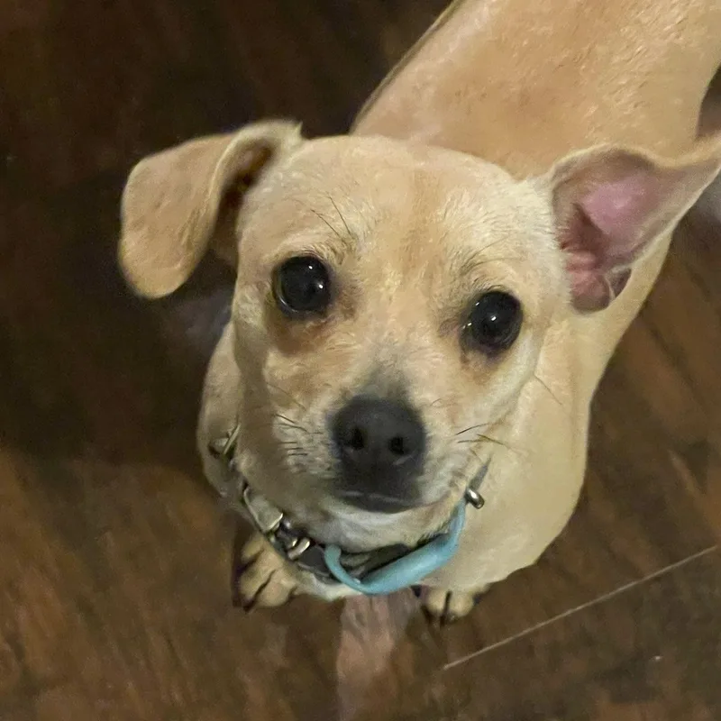 Marley Sue  Small thumbnail 6