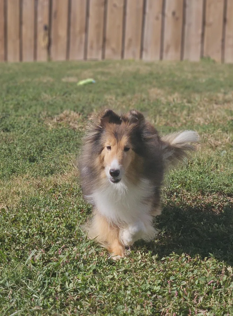 Zoe thumbnail 6