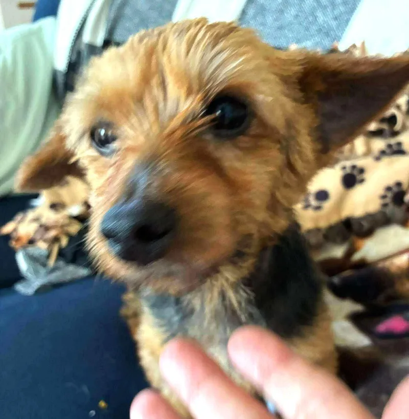 Lily Wright thumbnail 2