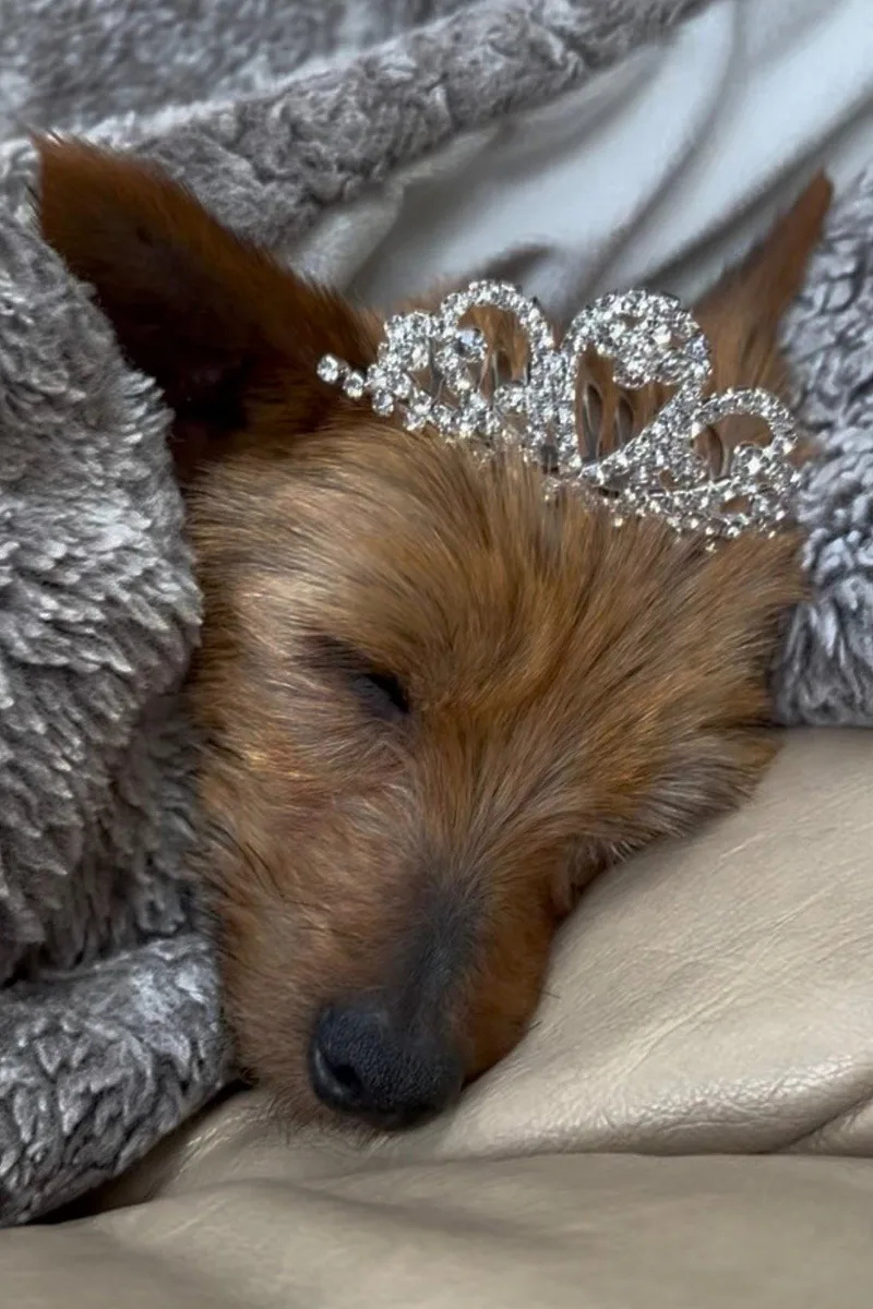 Lily Wright thumbnail 3