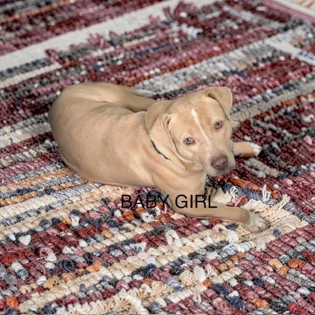 Baby Girl