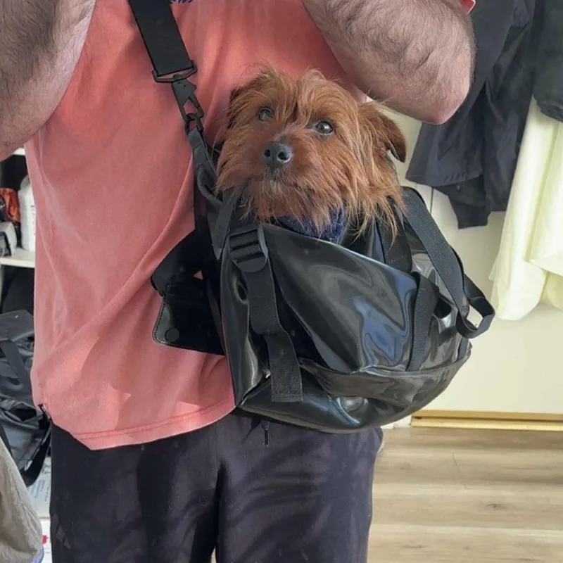 Cody Maverick thumbnail 4