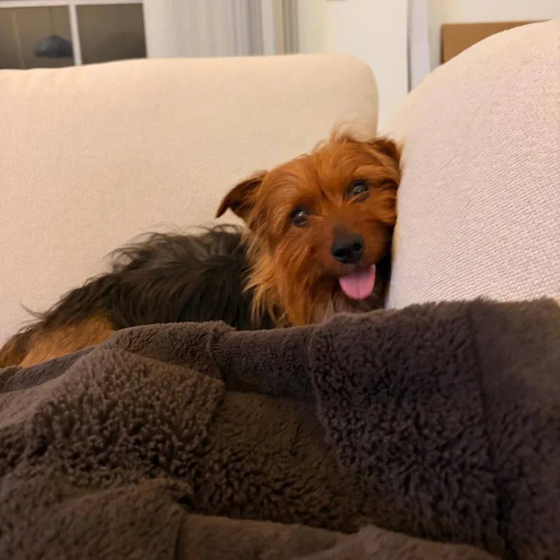 Cody Maverick thumbnail 5