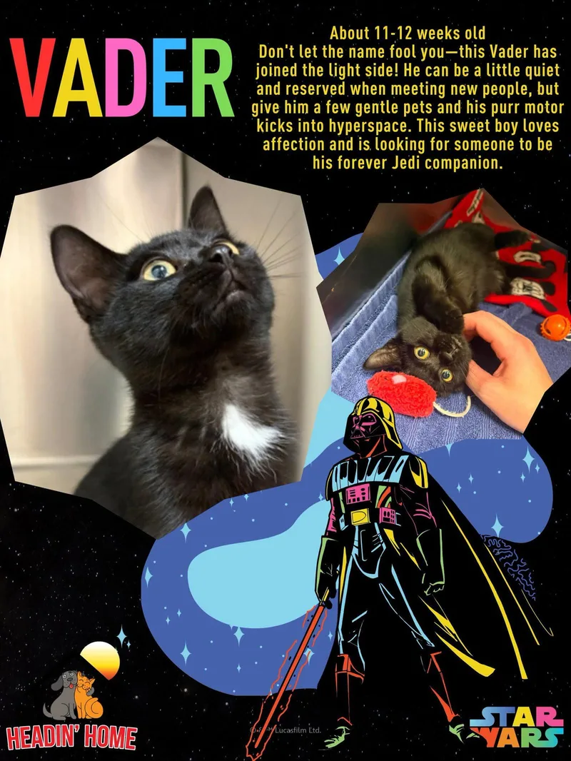 Vader thumbnail 3