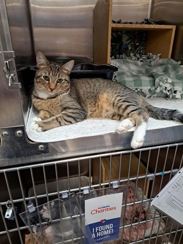 Sally Brown thumbnail 2