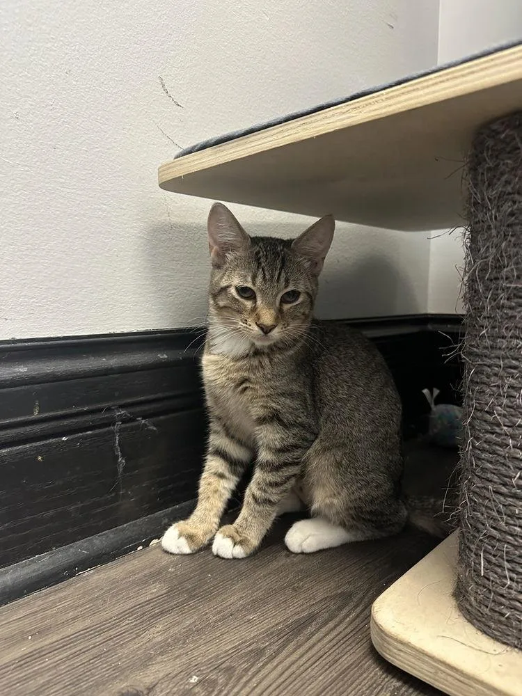 Sally Brown thumbnail 3