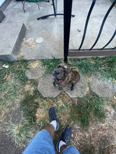 Sadie Mae thumbnail 3