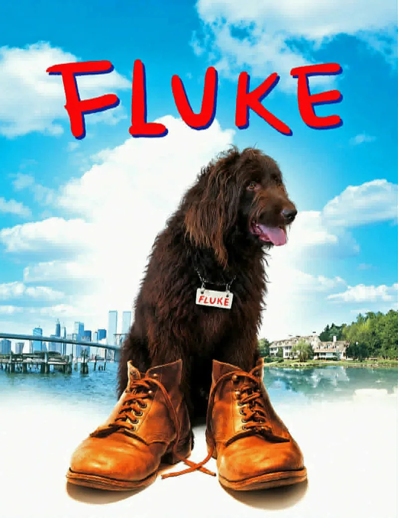 Fluke