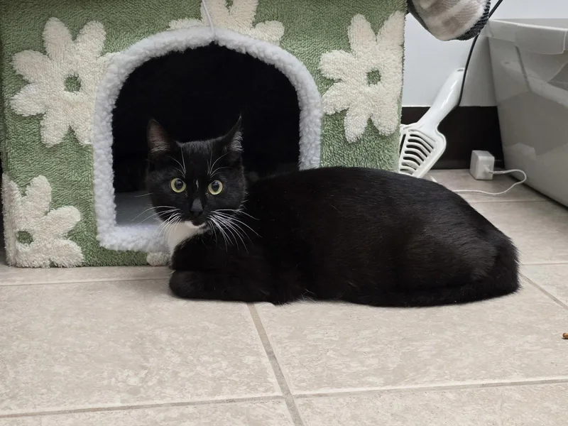 Libby thumbnail 3