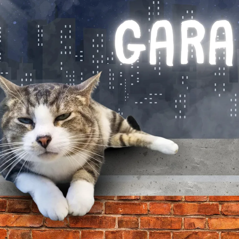 Gara thumbnail 3
