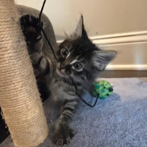 Marty