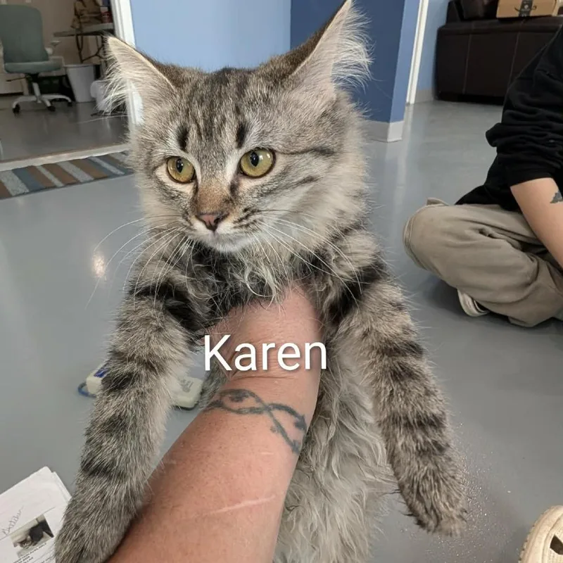 Karen