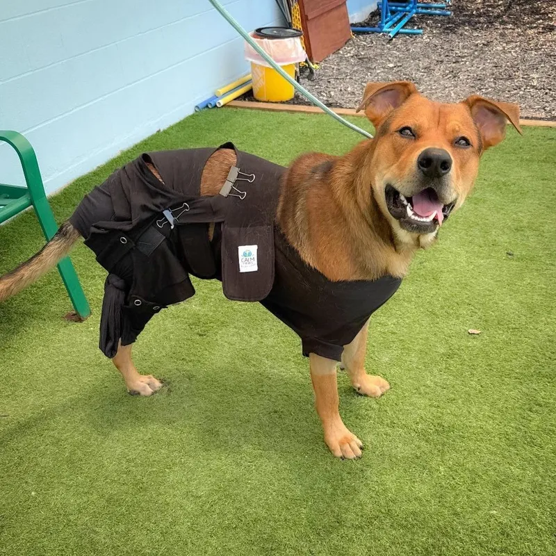 Milo