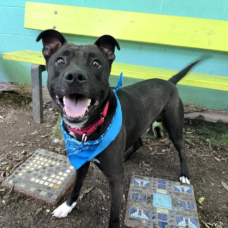 Manila Luzon thumbnail 2