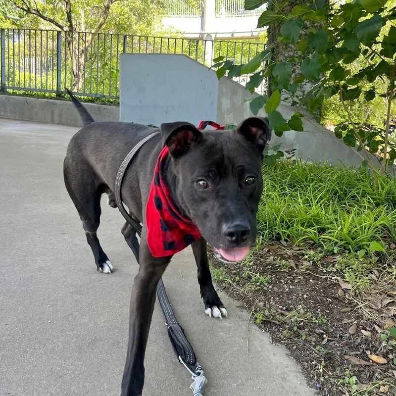 Manila Luzon thumbnail 3