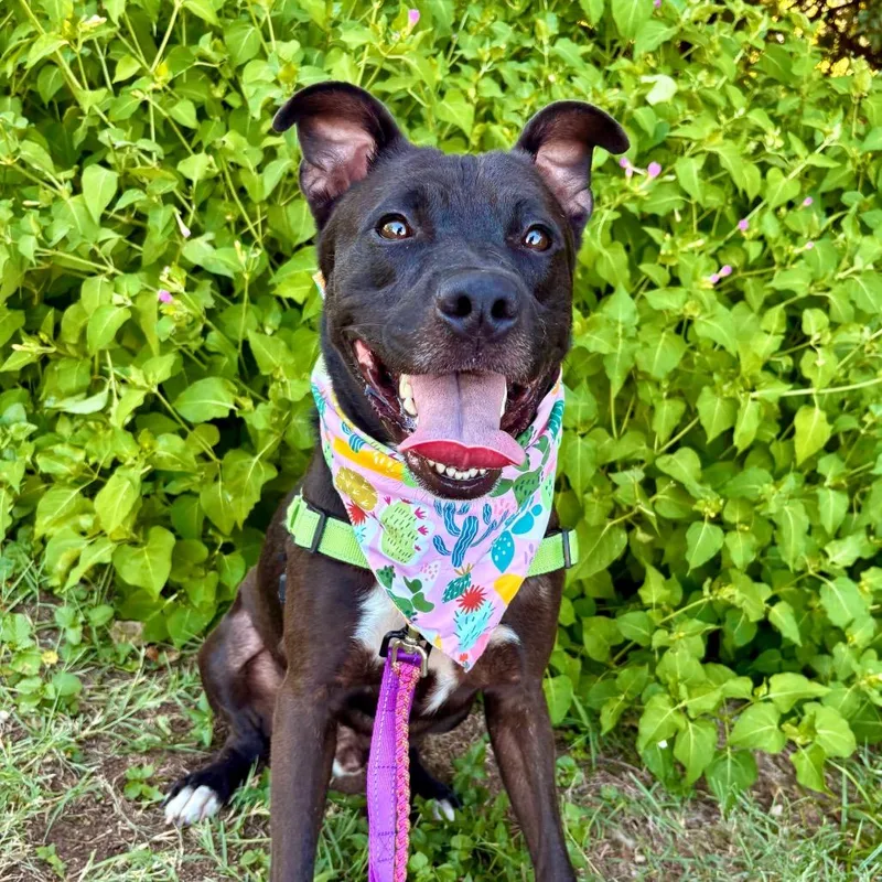 Manila Luzon thumbnail 4