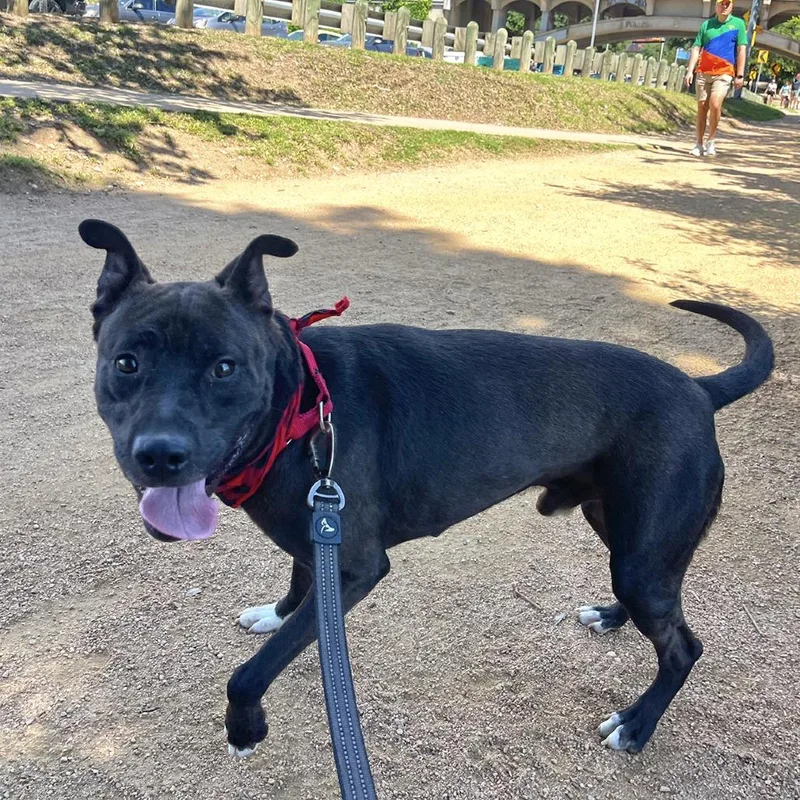 Manila Luzon thumbnail 5