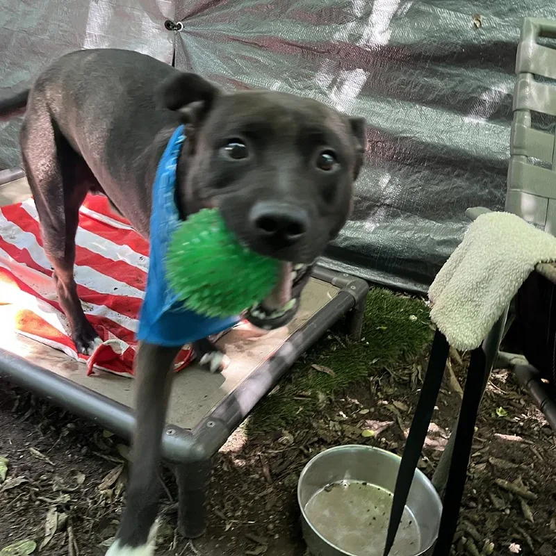 Manila Luzon thumbnail 6